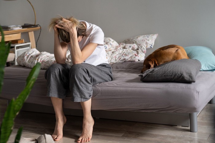 頭を抱える人の隣に茶の犬