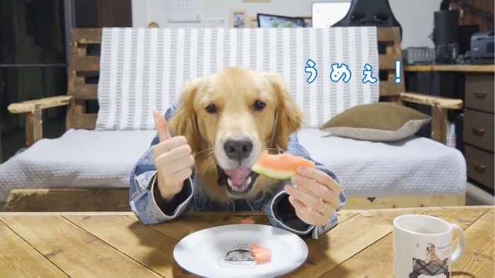 スイカを食べる犬