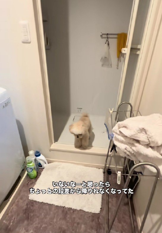 尻尾をフリフリ♪