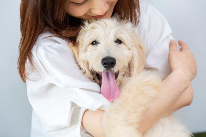 ハグされて笑顔の白い大型犬