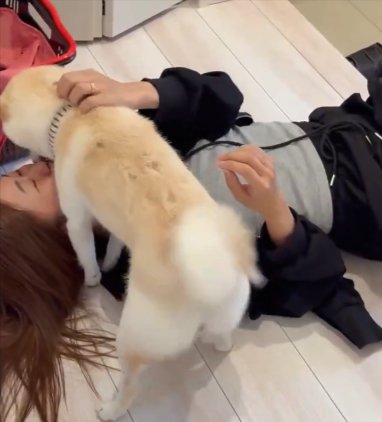 熱烈大歓迎