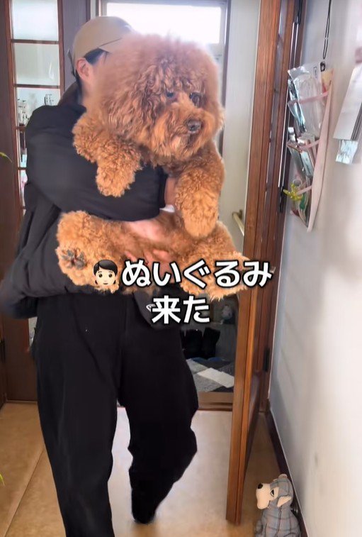 まだ腹巻きには気づいていません