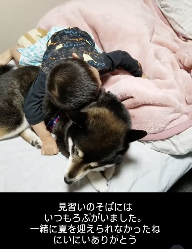 ハグ！