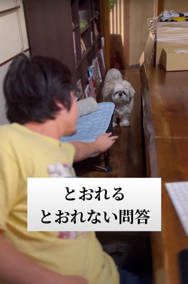 椅子を触る人と犬