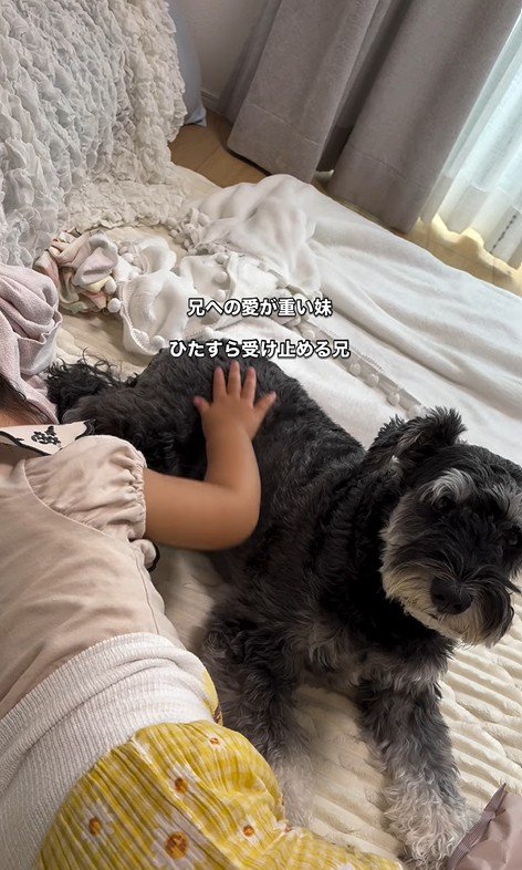 こたろう君を撫でる女の子