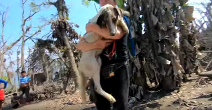 人に抱えられた犬