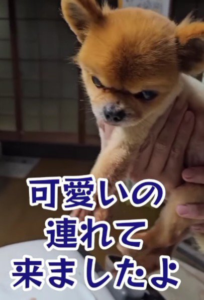「この子を覚えてる？」