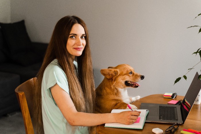 ノートをまとめる女性と犬