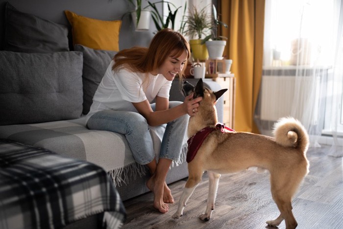 女性に近寄る犬