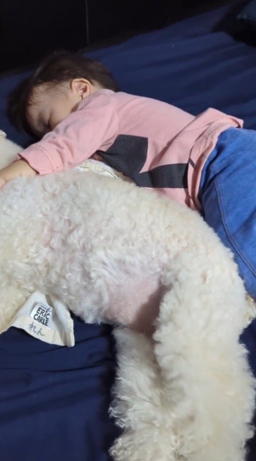 犬を抱きしめながら眠る赤ちゃん