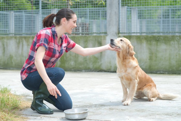 犬と女性