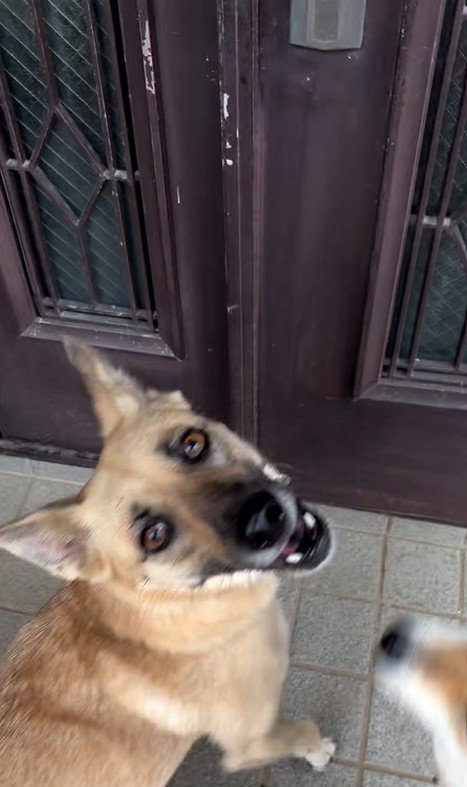 外で遊んでいた幸太郎くんと凛ちゃん⑩