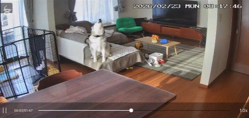 再び全力で遠吠え