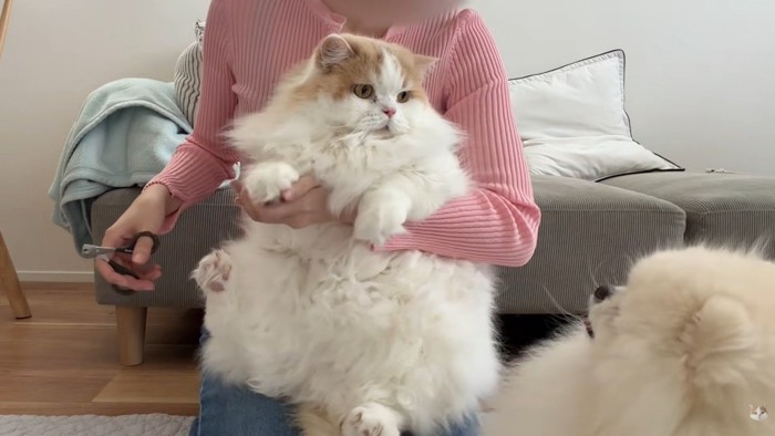 じーっと見ていたかと思ったら…