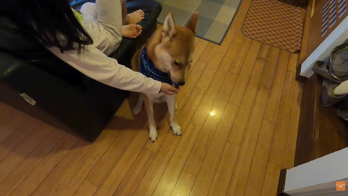 「ありがとう」のペロペロ…♪