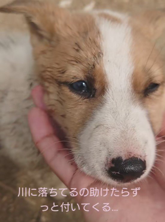 幸せを掴めてよかった！！