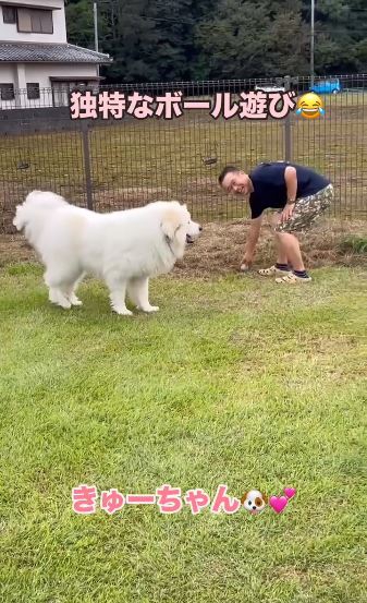 飼い主さんもおもわず笑顔！