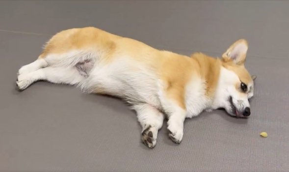 横着をして