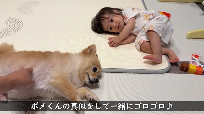 一緒にゴロゴロ♪
