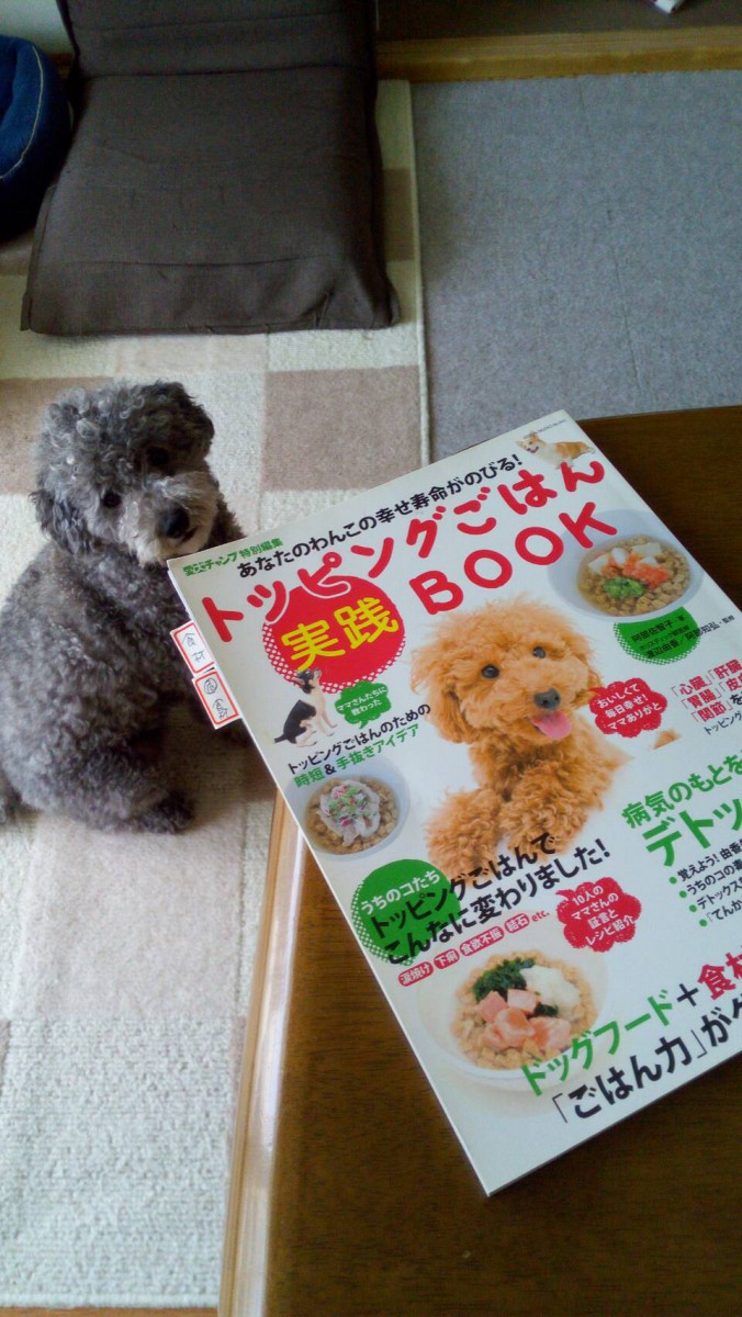 犬と雑誌