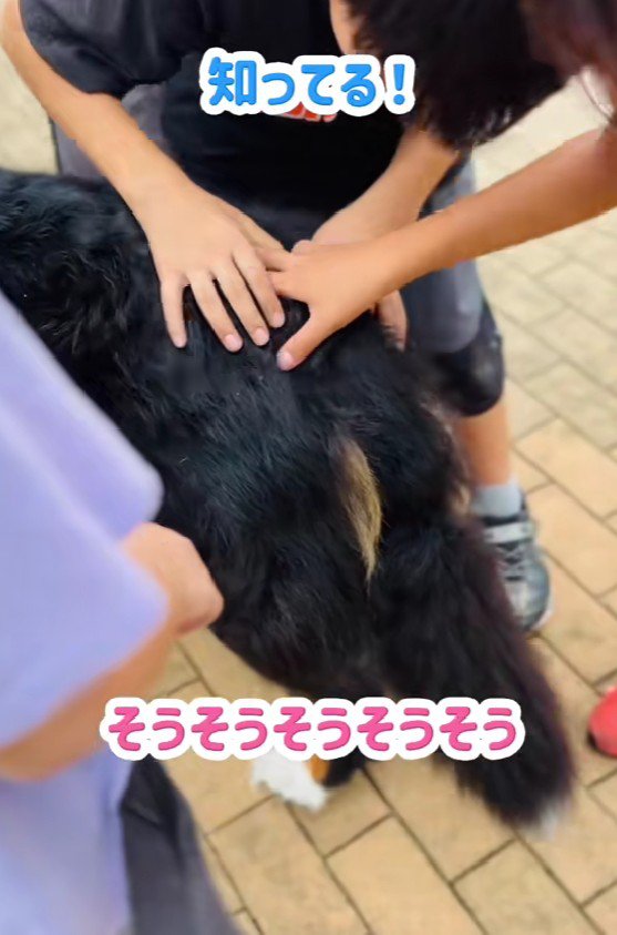 「どこ触ったら喜ぶ?」