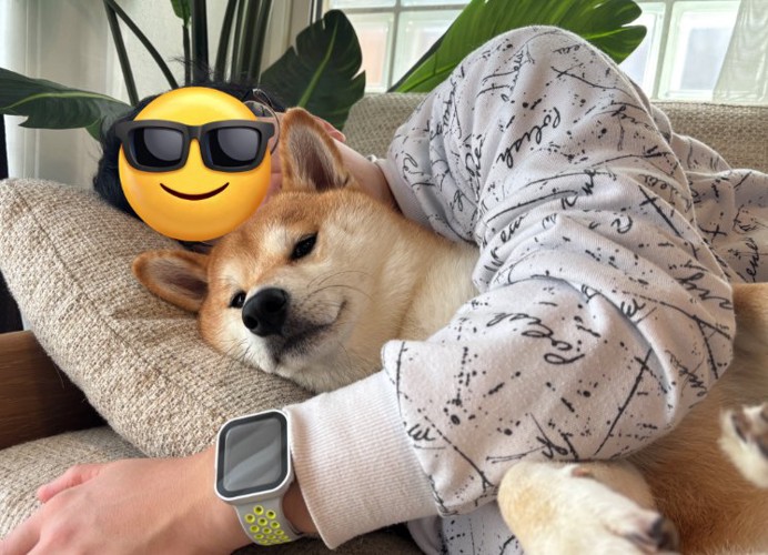 飼い主に抱っこされる柴犬