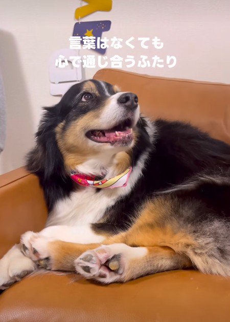 尊い記録に涙…