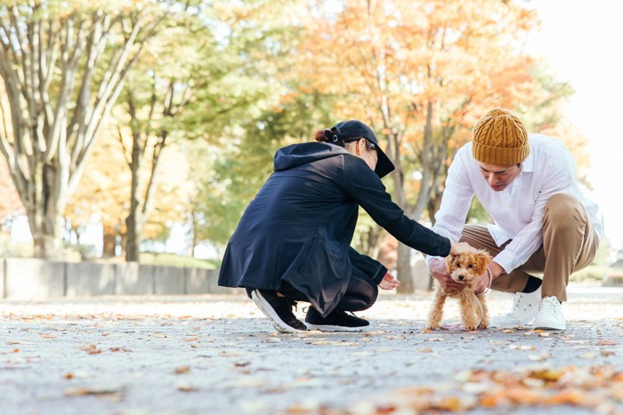 犬の頭を撫でる