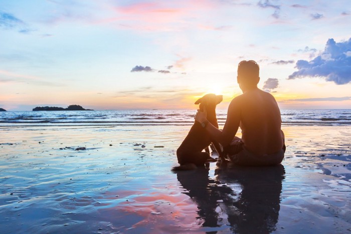 海にいる人と犬