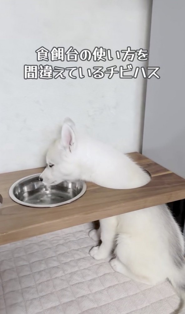 穴からお顔が出てる！