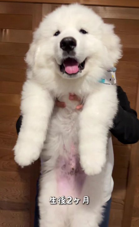 すくすく成長して…