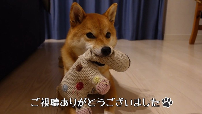 花子ちゃん、よかったね♪
