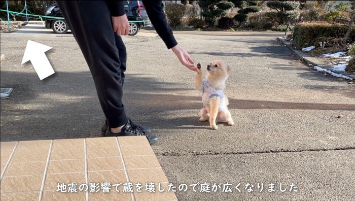 前足で飼い主に触れる犬