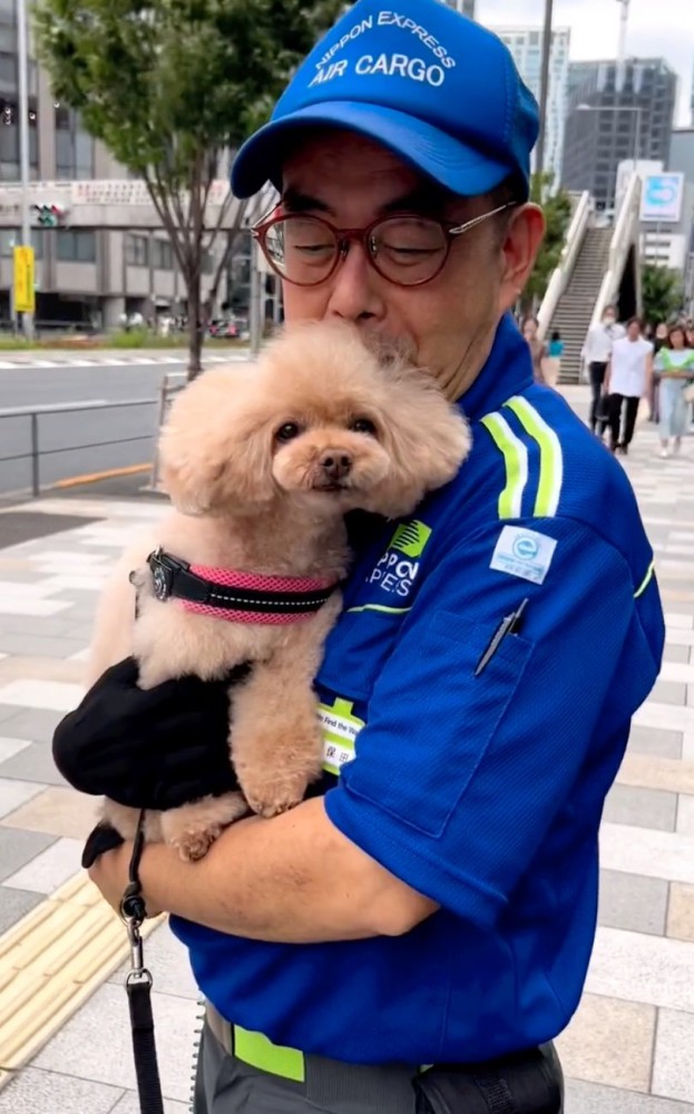 抱っこされる犬