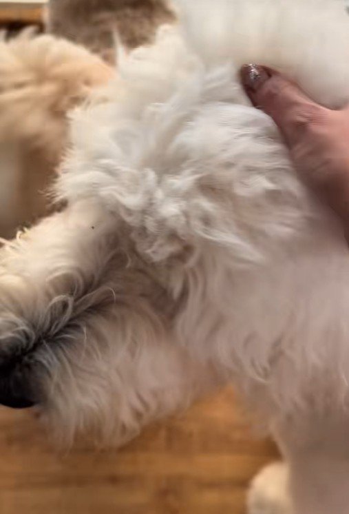 頭をヨシヨシ…♪