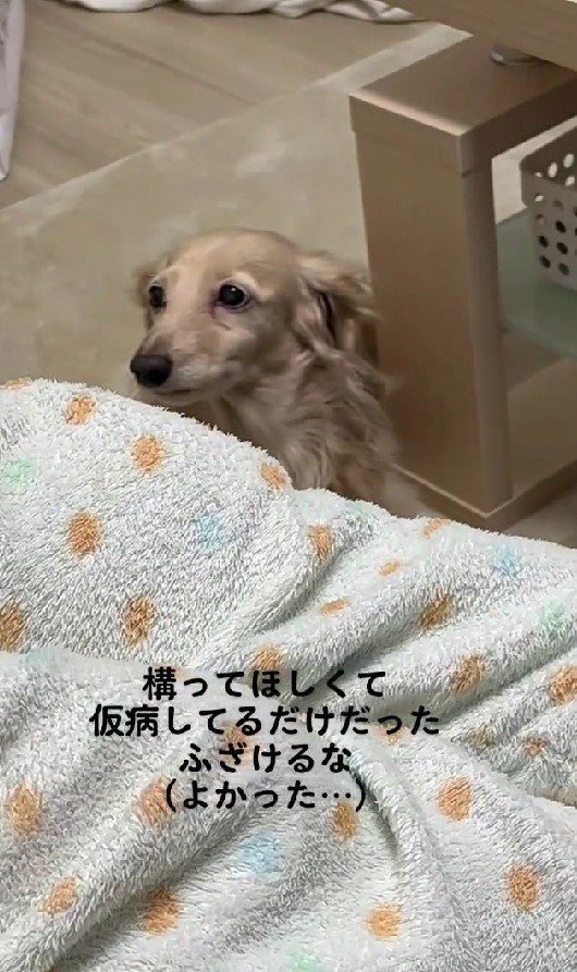 まさかの仮病！！