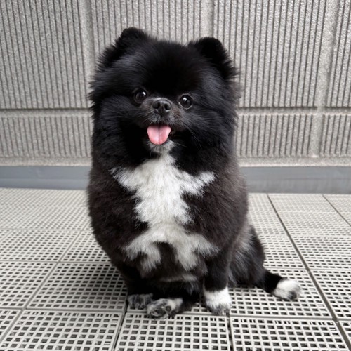 秘密
