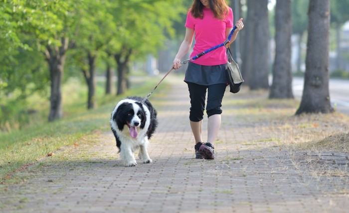 愛犬と散歩する女性