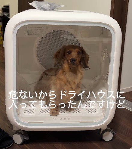 「ぼくも食べたい…!」