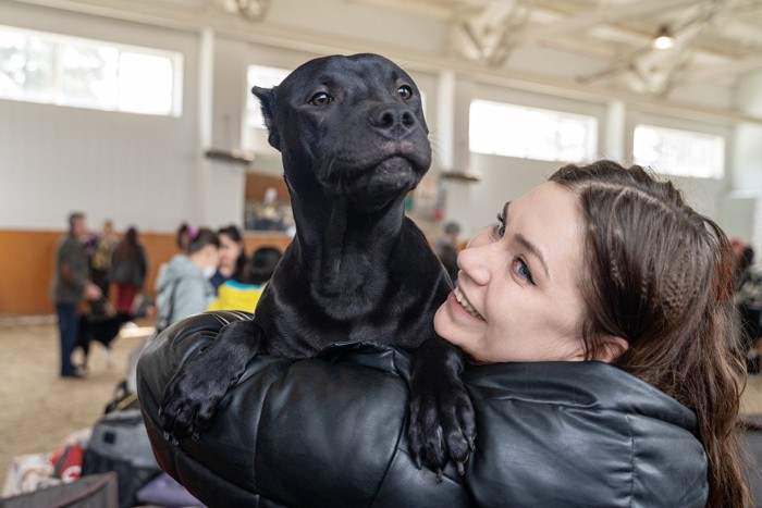 抱っこされて強気になる黒い犬