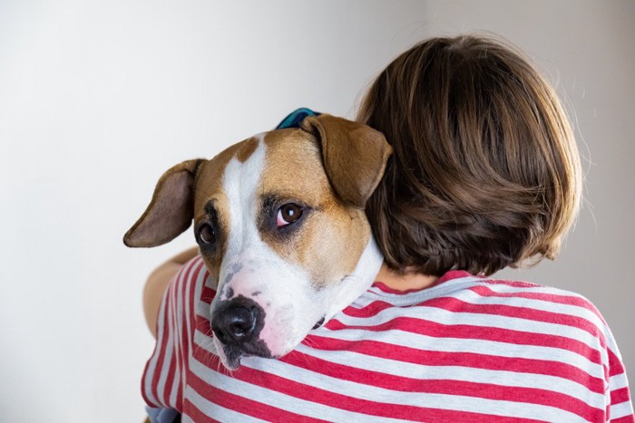 ハグする人と犬