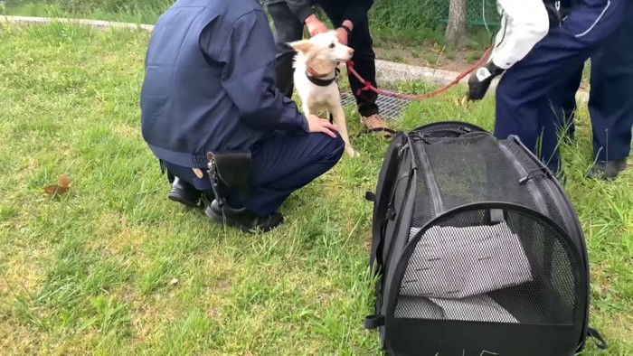 飼い主さんが見つかるまで警察で保護されます