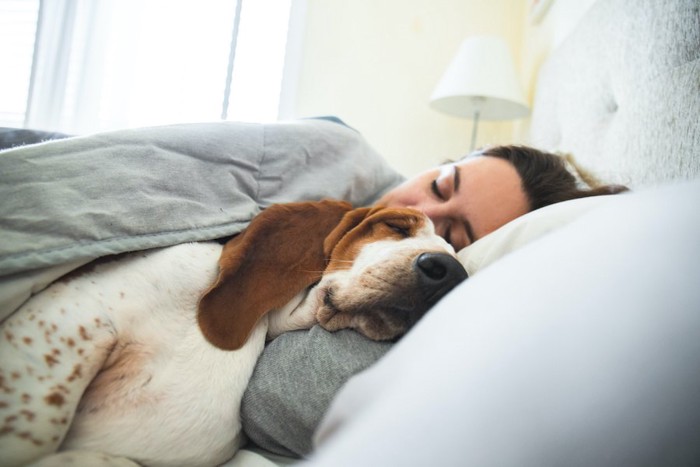 ベッドで一緒に寝る女性と犬