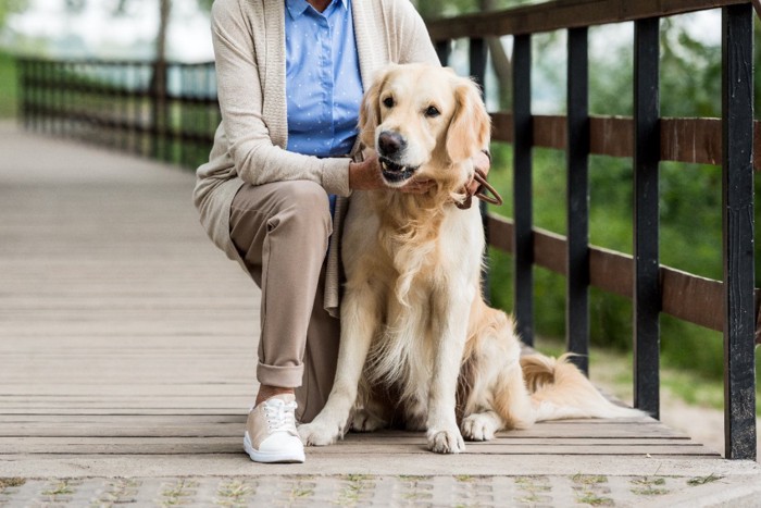 座る老犬と女性