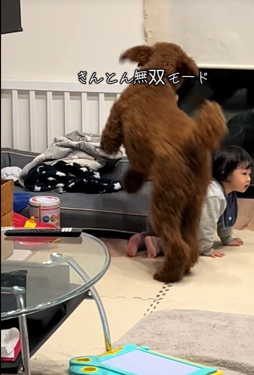 きんとん君VS男の子4