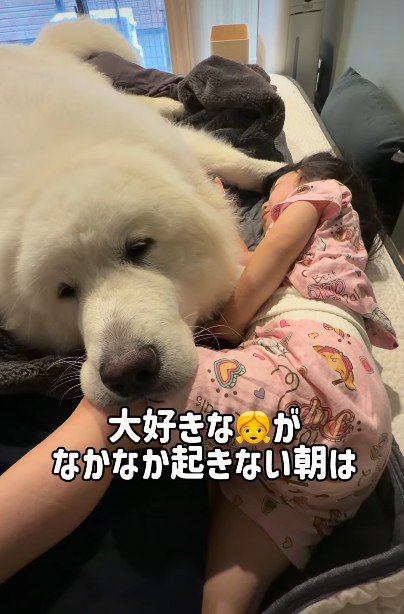 娘を起こしに行ったら…