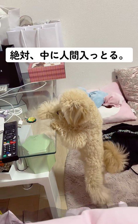 人間っぽいくまちゃん