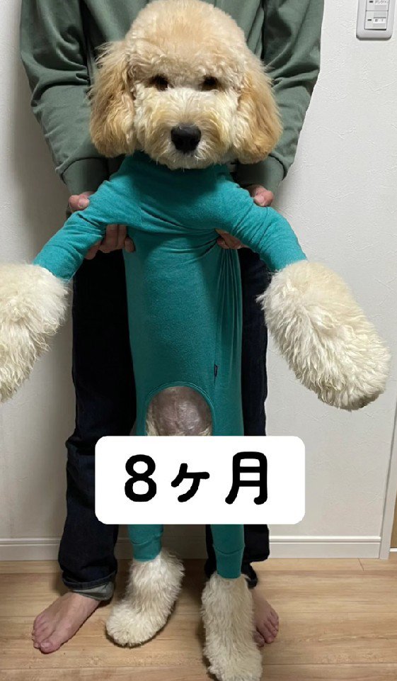 え…人間…？