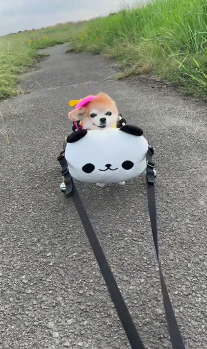 楽しそうな表情にホッコリ♡