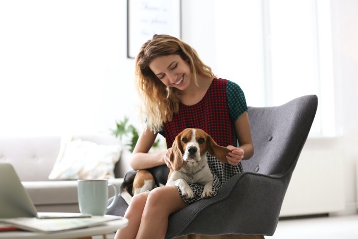 椅子に座る女性の膝の上で寛ぐ犬